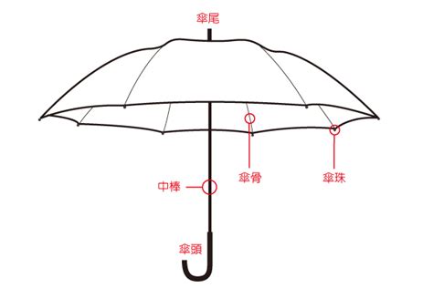 傘的顏色 廖 筆劃